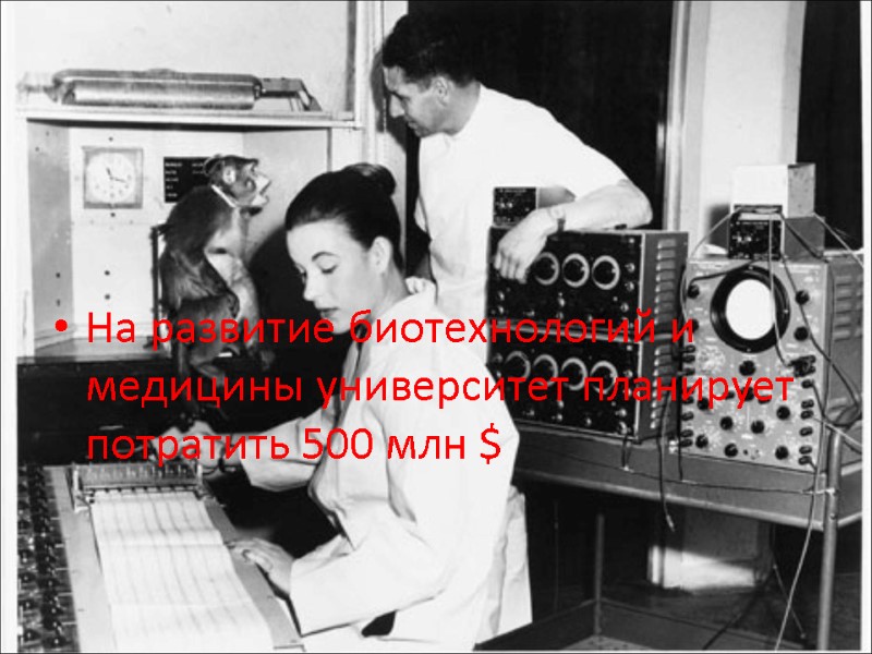 На развитие биотехнологий и медицины университет планирует потратить 500 млн $